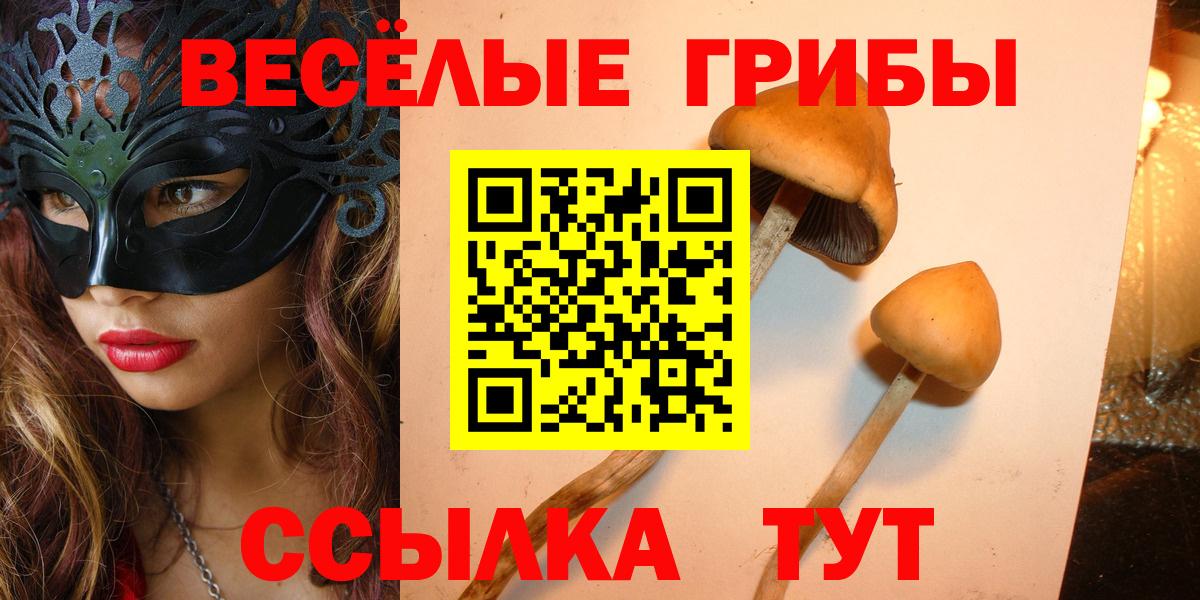 Кузнецк  что такое наркотик  Псилоцибиновые грибы MAGIC MUSHROOMS  Вход с VPN  Галлюциногенные грибы GOLDEN TEACHER 