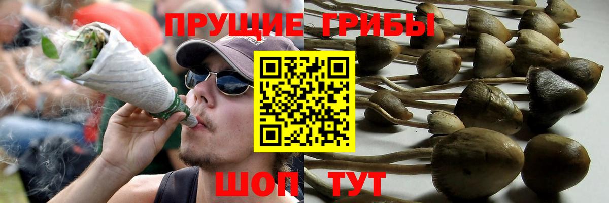 Псилоцибиновые грибы Magic Shrooms Кузнецк